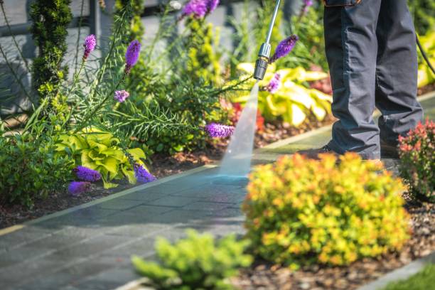 Best Parking Lot and Garage Cleaning  in Newton, AL
