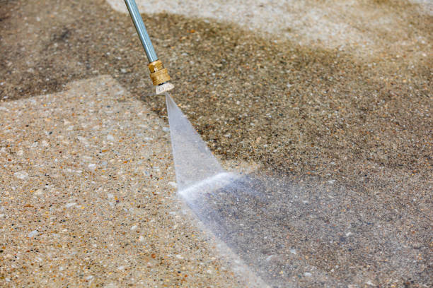 Professional Pressure Washing Services in Newton, AL