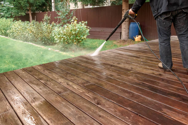 Best Driveway Pressure Washing  in Newton, AL
