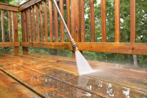 Animal Enclosure Cleaning in Newton, AL